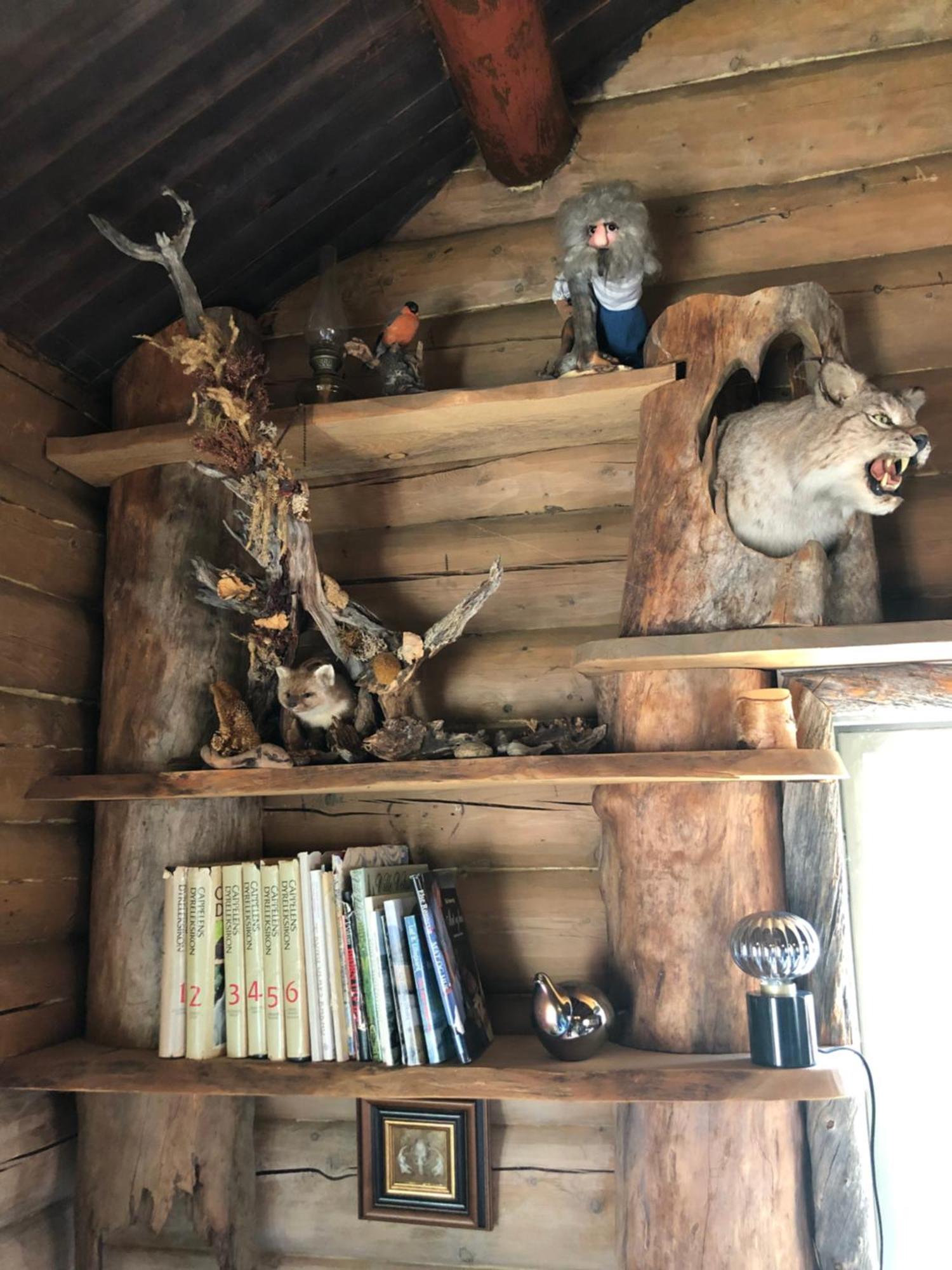 Pasvik Taiga Otel Skogfoss Dış mekan fotoğraf
