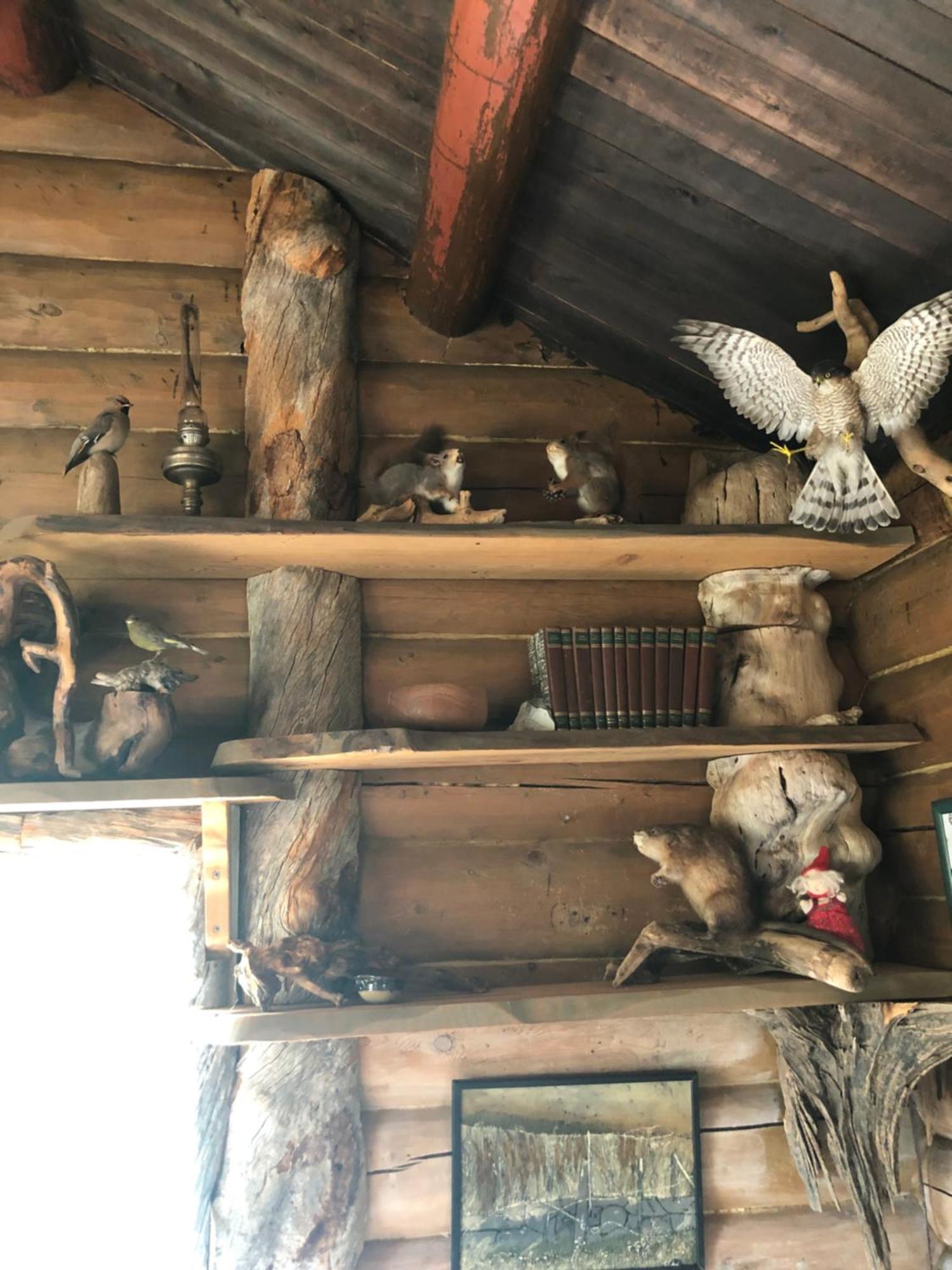 Pasvik Taiga Otel Skogfoss Dış mekan fotoğraf