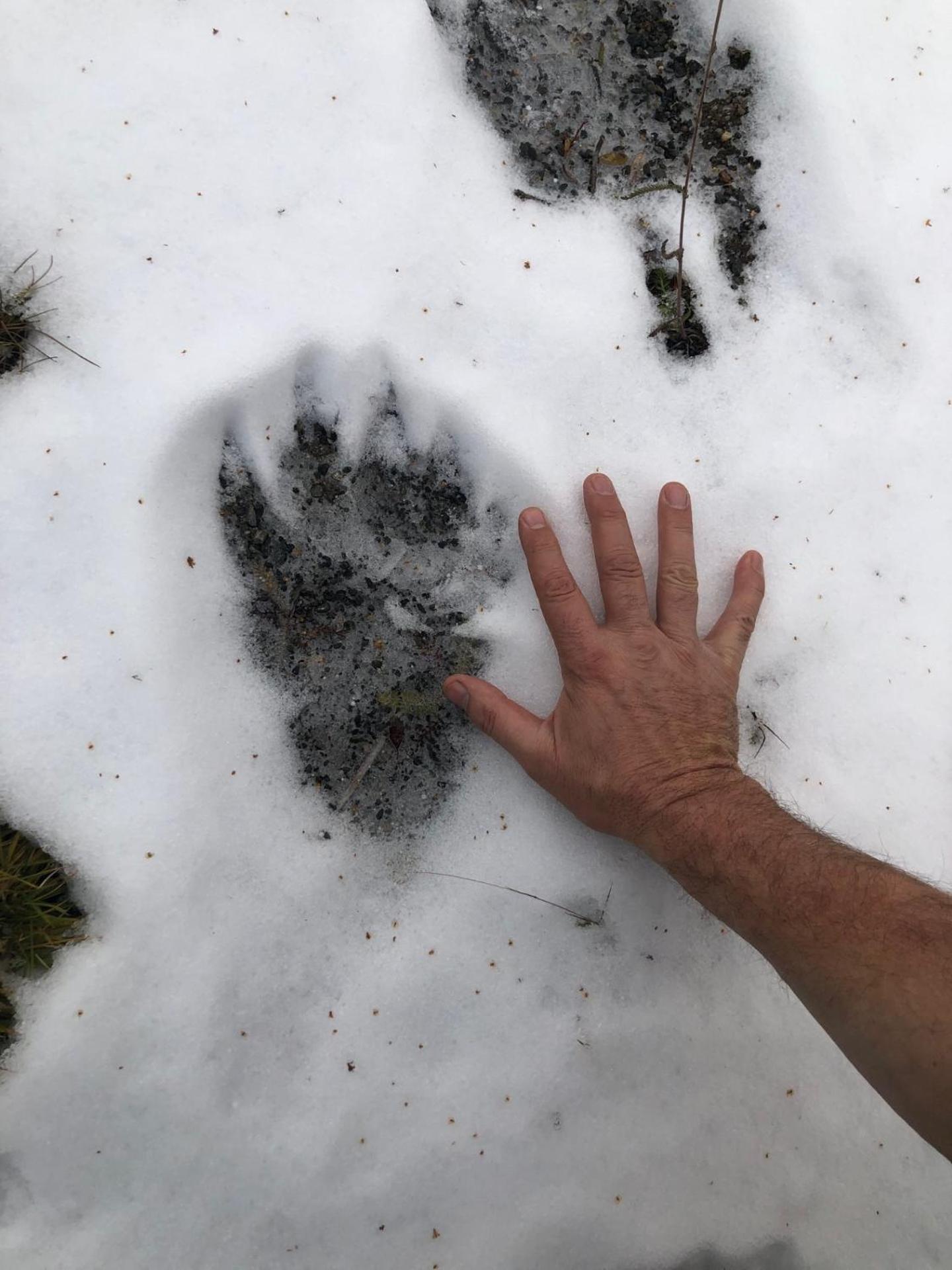 Pasvik Taiga Otel Skogfoss Dış mekan fotoğraf